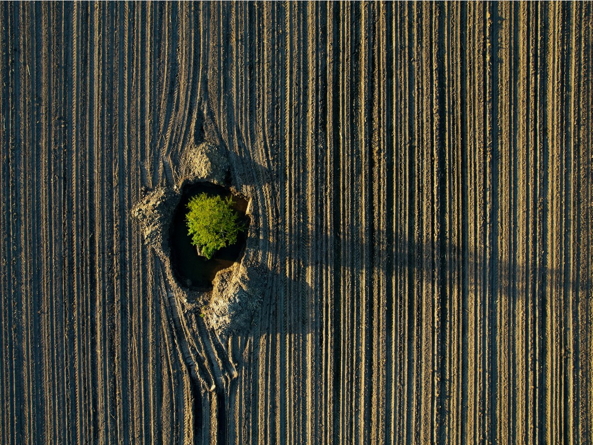 Фото с квадрокоптера