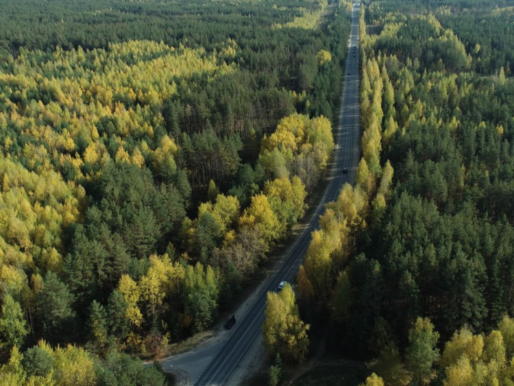 DJI Zenmuse V1