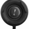 Акустика портативная JBL Pulse 5, черный