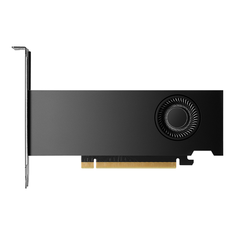 NVIDIA RTX 2000 Ada 16 ГБ — NVIDIA RTX 2000 Ada. Иллюстрация производителя; монтажная планка согласуется по корпусу