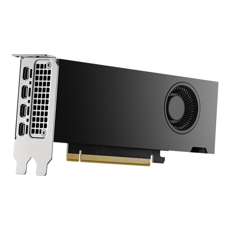 NVIDIA RTX 2000 Ada 16 ГБ — NVIDIA RTX 2000 Ada. Иллюстрация производителя; монтажная планка согласуется по корпусу