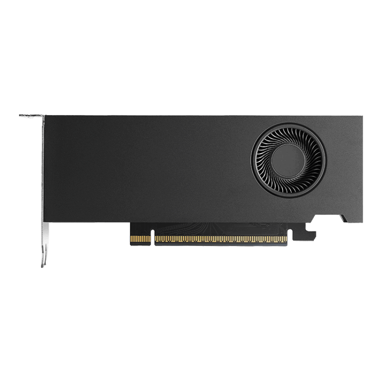 NVIDIA RTX PRO 4000 Blackwell SFF 24 ГБ — RTX PRO 4000 Blackwell SFF с короткой планкой на иллюстрации. Планка ATX конкретной поставки уточняется